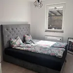 Basic Villa Selisce